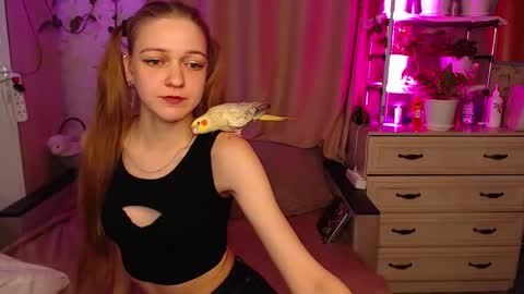 Lina online show from 7, 1, 2026