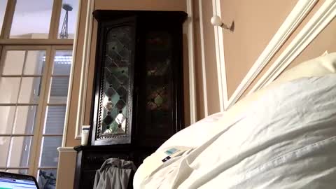 adrienfromparis online show from 19, 3, 2026