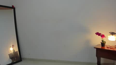 Snapshot of afrodita3123 chatting on 12, 2, 2025 Lorena online show from 12, 2, 2025