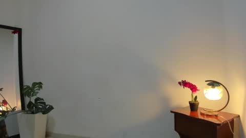 Snapshot of afrodita3123 chatting on 3, 12, 2025 Lorena online show from 3, 12, 2025