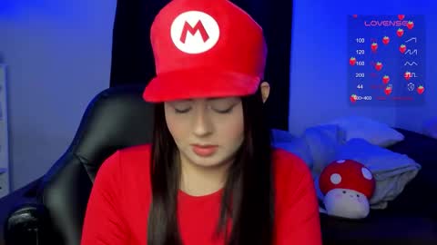 Cat online show from 1, 11, 2025