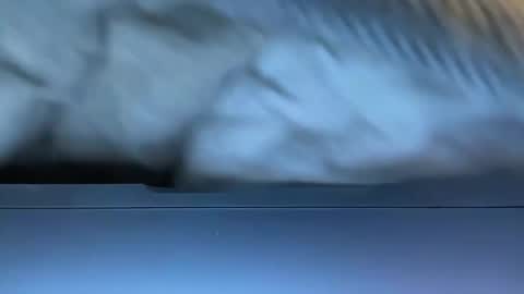 Agent Action Jackson online show from 8, 1, 2025