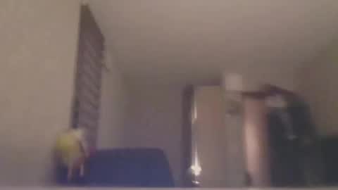 ahbehbi12 online show from 10, 3, 2025