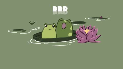 Catalina online show from 22, 2, 2025