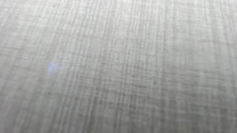 Aisha online show from 2, 12, 2025