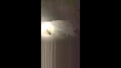 aj297914 online show from 8, 2, 2026