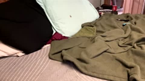 ajb5187517 online show from 5, 1, 2026