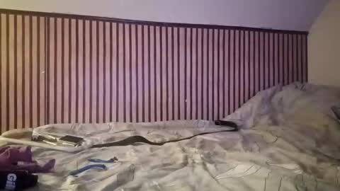 ajnojdek online show from 22, 3, 2026