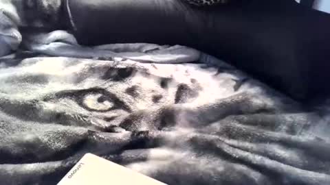 aken4it online show from 2, 4, 2026