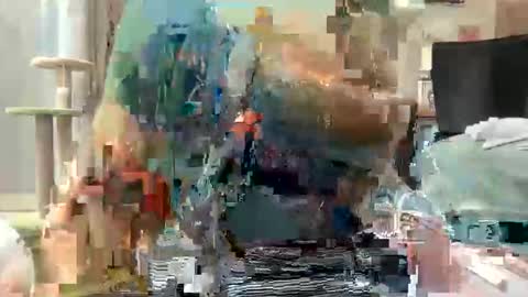 Snapshot of akirazayy chatting on 1, 3, 2026 Akira Zay online show from 1, 3, 2026