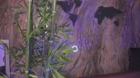 ALAHIA online show from 13, 1, 2026