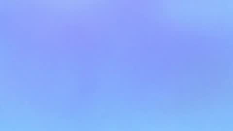 Alaia online show from 1, 11, 2025