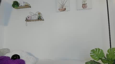   online show from 24, 6, 2026