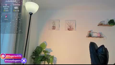   online show from 25, 7, 2026