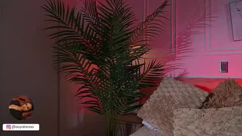 Alana online show from 17, 3, 2026