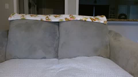 Snapshot of alannarack chatting on 26, 2, 2025 Alanna Rack online show from 26, 2, 2025