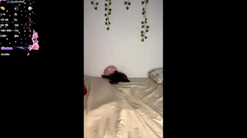 Alaska online show from 25, 2, 2025