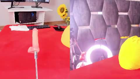 Alazsanna online show from 2, 8, 2026