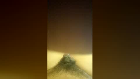 aldenbravo2022 online show from 20, 4, 2026