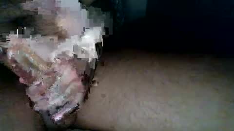 aldous_fuxley online show from 20, 2, 2026