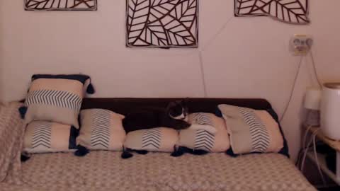 Sandra online show from 25, 2, 2025