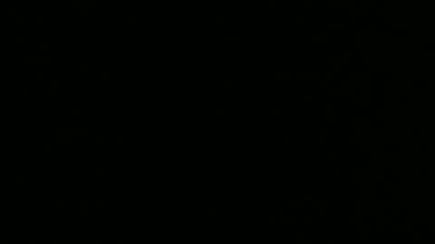 alex online show from 26, 12, 2024