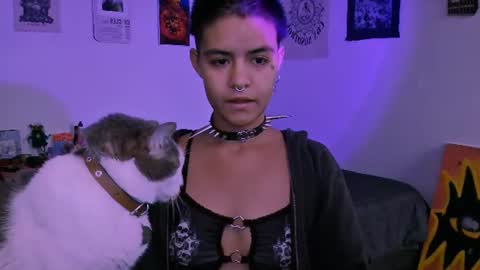 Alex online show from 14, 6, 2026