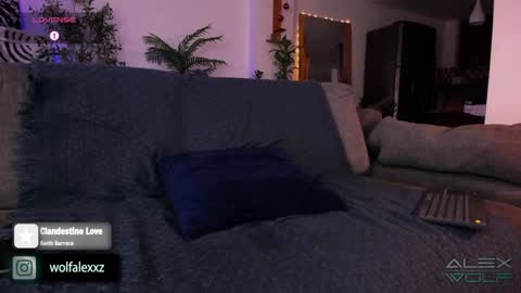 Snapshot of alex_wolf__ chatting on 16, 1, 2025 Alex Wolf online show from 16, 1, 2025