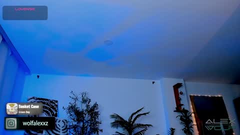 Snapshot of alex_wolf__ chatting on 17, 1, 2025 Alex Wolf online show from 17, 1, 2025