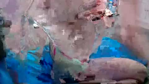 Snapshot of alexfresh84 chatting on 25, 12, 2024 Doggystyle online show from 25, 12, 2024