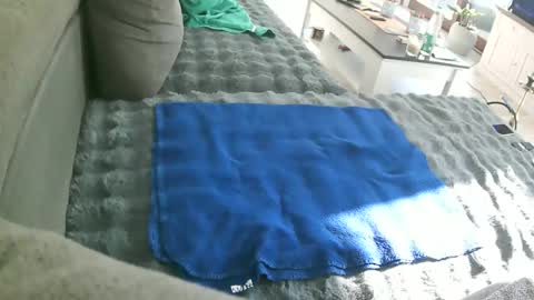 Snapshot of alexfresh84 chatting on 15, 2, 2026 Doggystyle online show from 15, 2, 2026