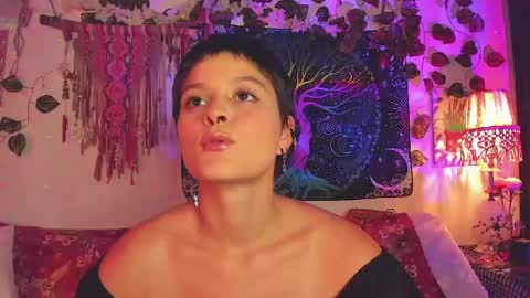 Alex online show from 12, 5, 2026