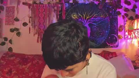 Alex online show from 13, 5, 2026