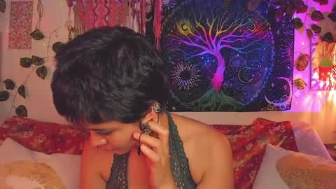 Alex online show from 15, 5, 2026
