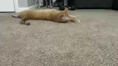 alexispaige06 online show from 11, 10, 2025