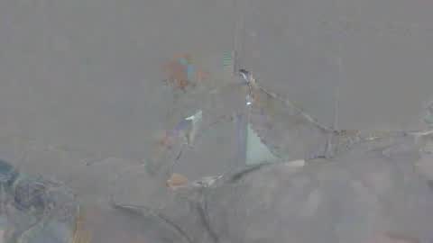 Snapshot of alexsmith9876 chatting on 2, 4, 2026 Alexsmith9876 online show from 2, 4, 2026