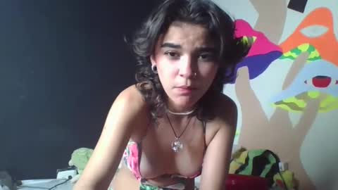 alice online show from 17, 12, 2024