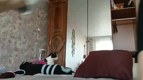 Snapshot of alice_peach chatting on 24, 2, 2025 bigclit daddy squirt bigdildo fit online show from 24, 2, 2025