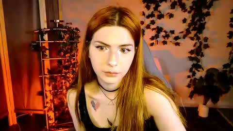 Alice online show from 24, 7, 2026