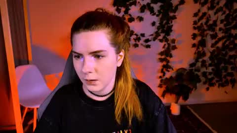 Alice online show from 31, 7, 2026