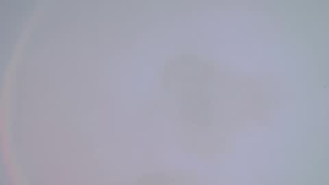 Snapshot of alienexxx chatting on 14, 2, 2025     online show from 14, 2, 2025