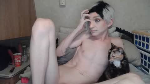 Snapshot of alishaluv chatting on 10, 7, 2026 Alisha online show from 10, 7, 2026
