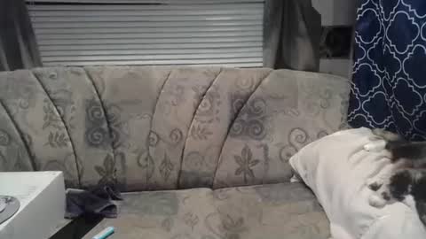 Snapshot of alishaluv chatting on 22, 7, 2026 Alisha online show from 22, 7, 2026