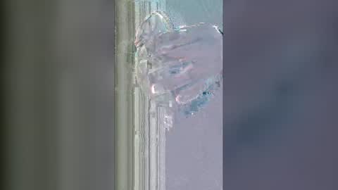 Snapshot of alisherof chatting on 13, 1, 2026 alisherof online show from 13, 1, 2026