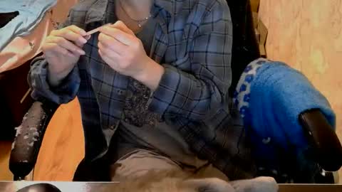 Alisa online show from 15, 2, 2026