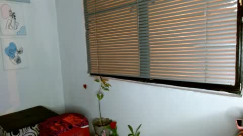 Alisonturbay online show from 13, 5, 2026