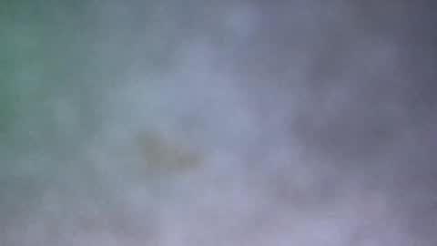 all_most_sane online show from 17, 5, 2026