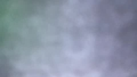 all_most_sane online show from 18, 5, 2026