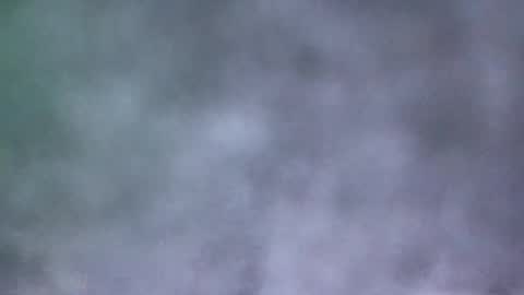 all_most_sane online show from 19, 5, 2026