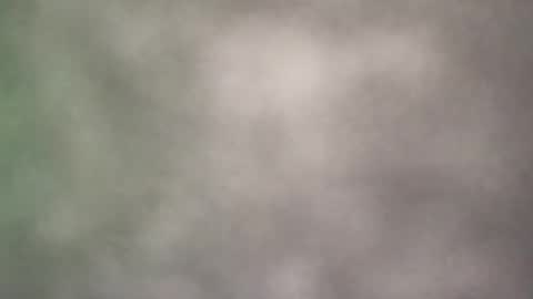 all_most_sane online show from 21, 5, 2026